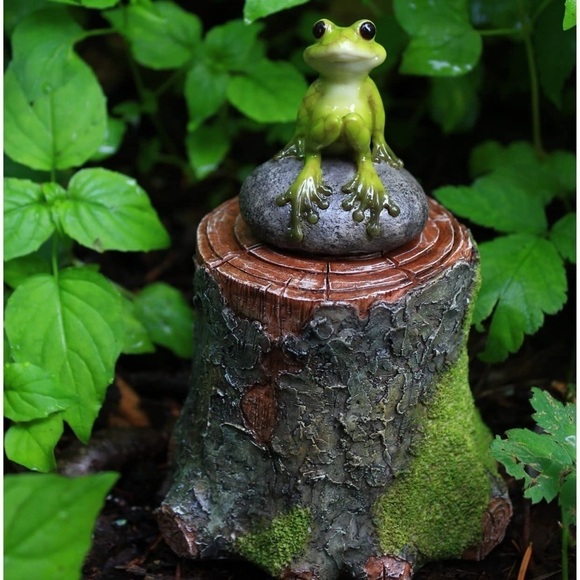 Top Collection | Toys | Miniature Fairy Garden Terrarium Decorative ...